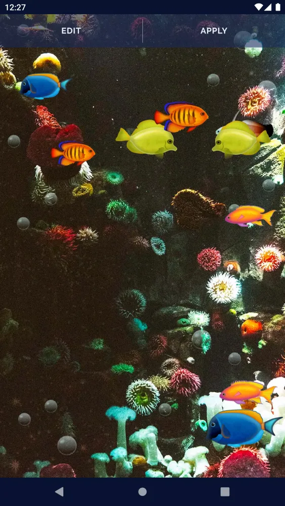 Aquarium Fish Live Wallpaper应用截图