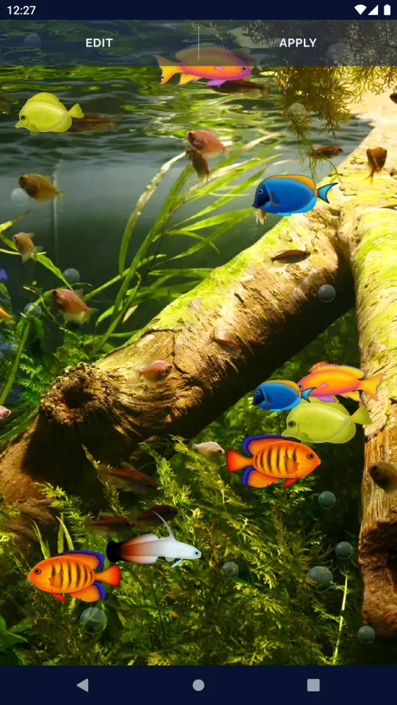 Aquarium Fish Live Wallpaper应用截图