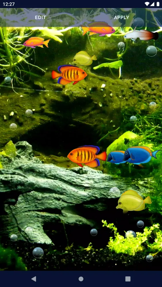 Aquarium Fish Live Wallpaper应用截图