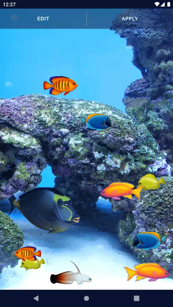 Aquarium Fish Live Wallpaper应用截图