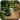 K�o�i�