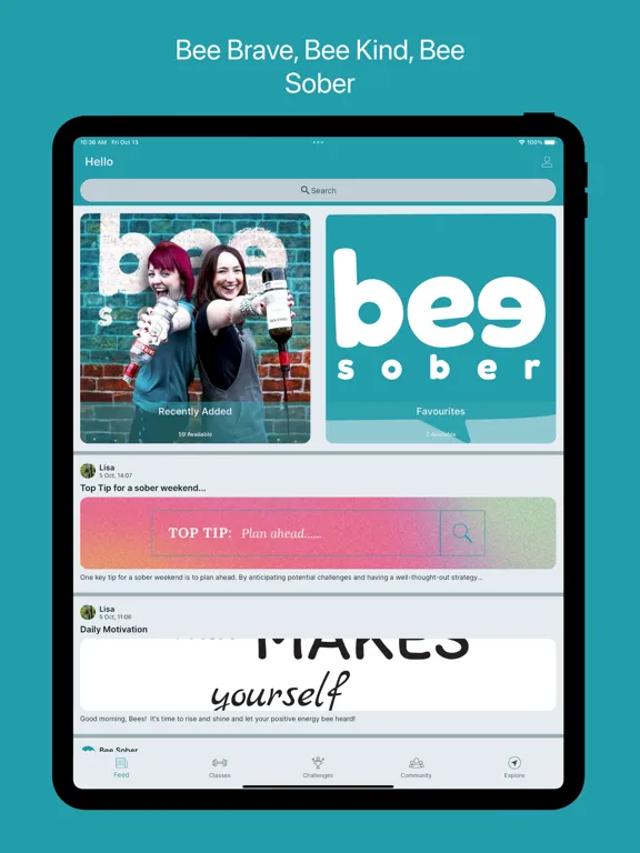 Zrzuty ekranu Bee Sober iPad 
