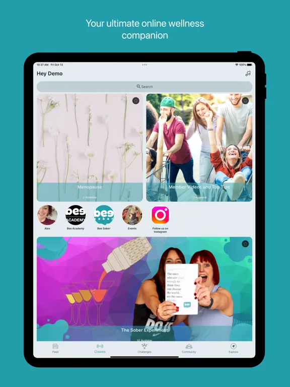 Zrzuty ekranu Bee Sober iPad 