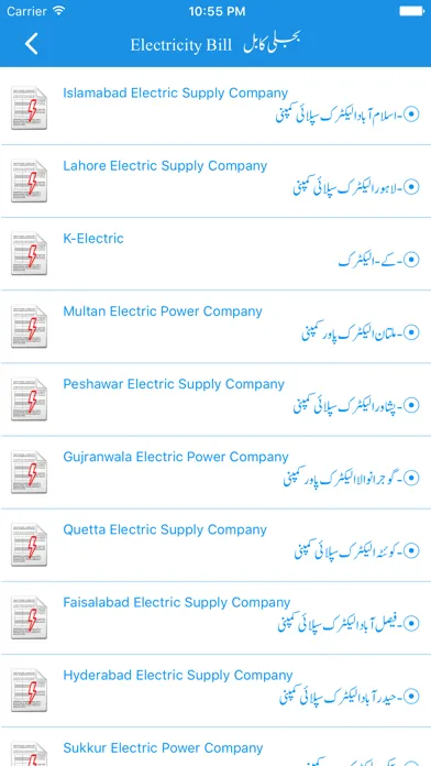 Captures d'écran de Electricity Bill