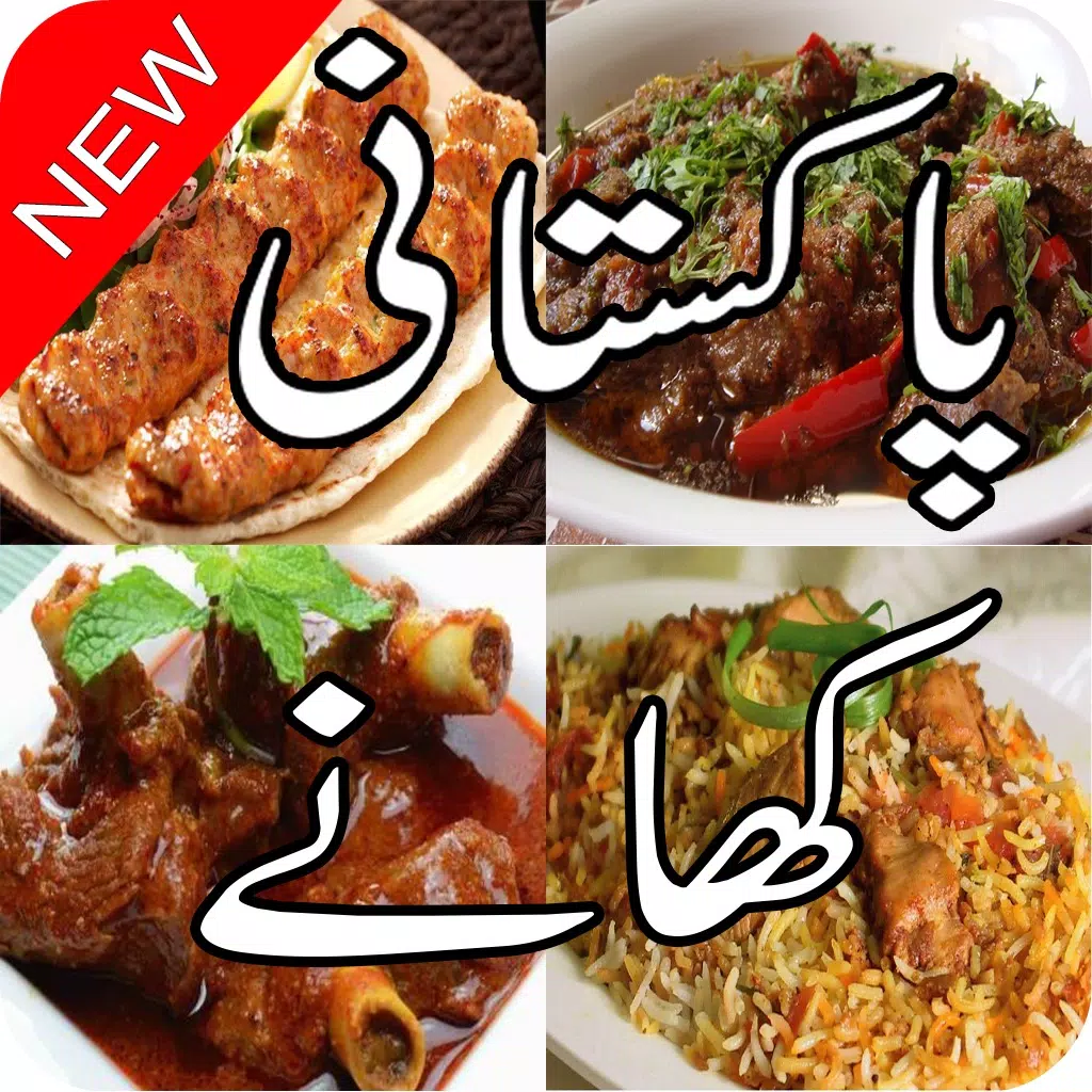 Pakistani Food Recipes