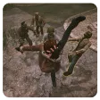 Fight Survive