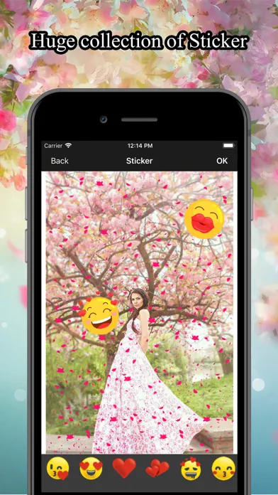 Flower Rain Effect Pic Editor Ekran Görüntüleri