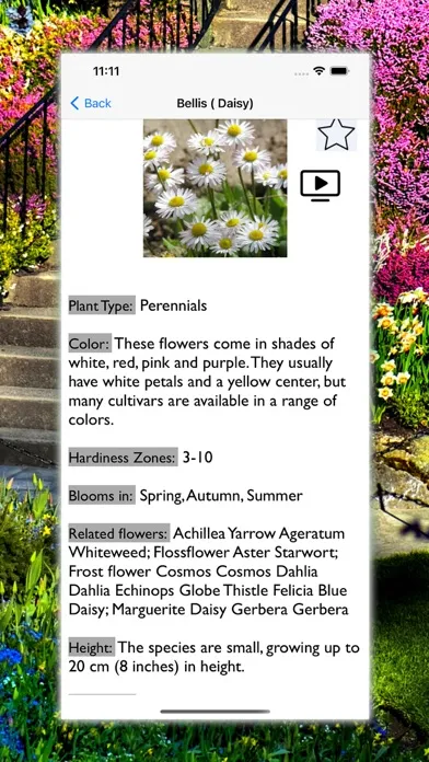 Flowers Dictionary with Images スクリーンショット