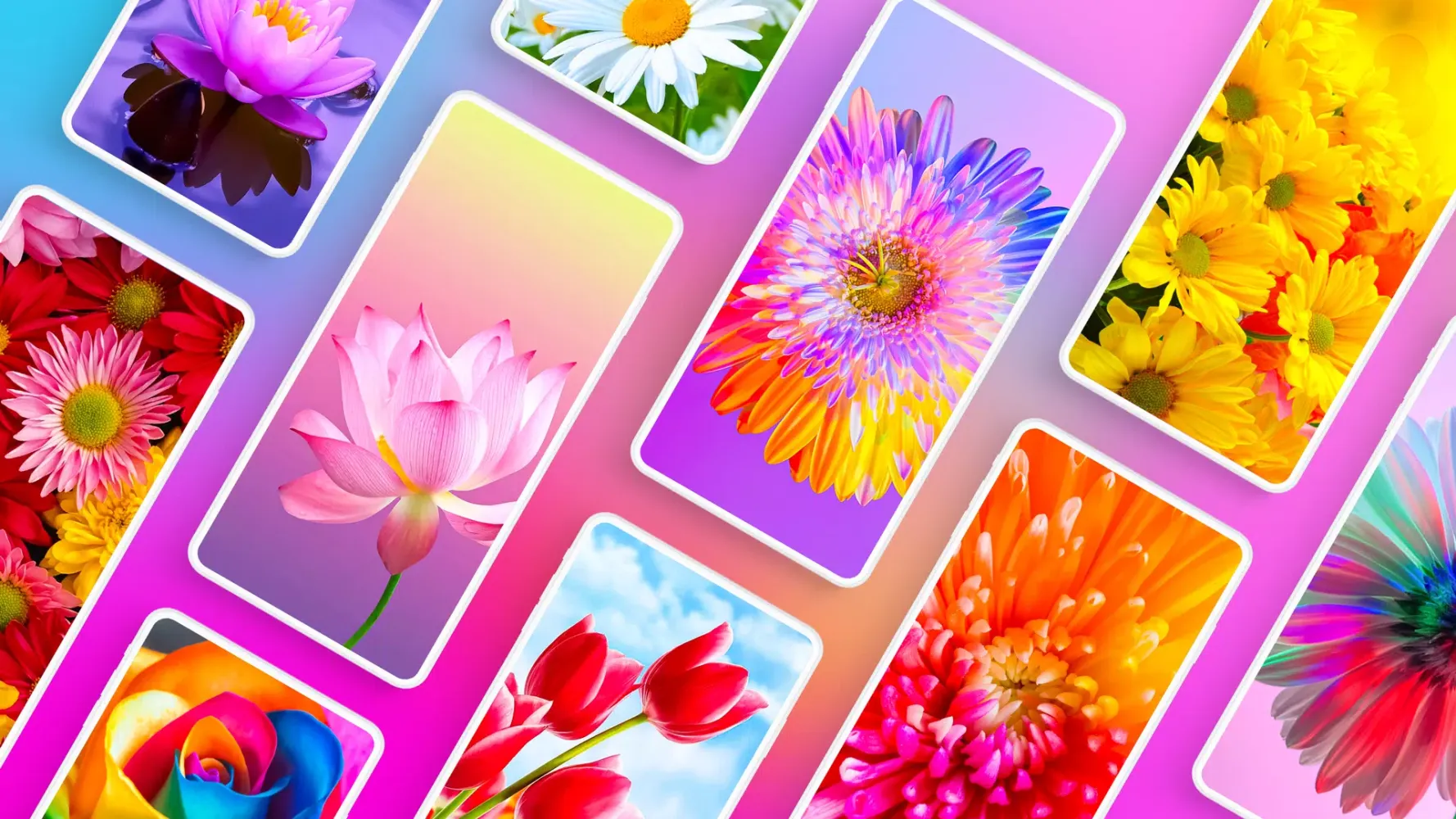 Screenshot di Flower Wallpapers 4K