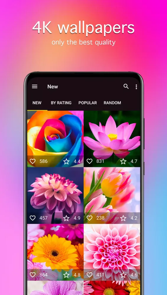 Screenshot di Flower Wallpapers 4K