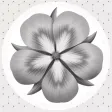 Flowers By Jane