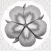 Flowers By Jane