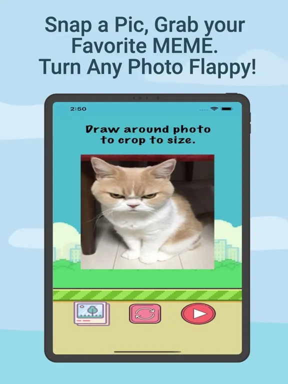 Flappy Me - Custom Adventure iPad Screenshots