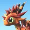 Focus Dragon