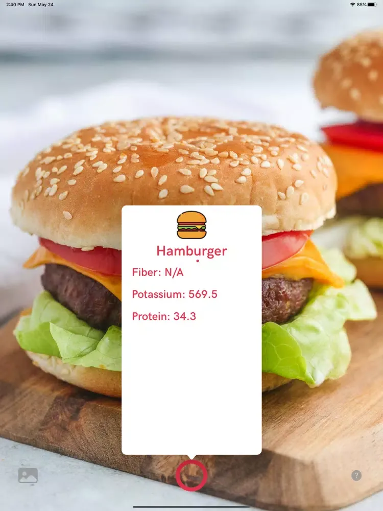 تصاویر FoodHelper Pro iPad 