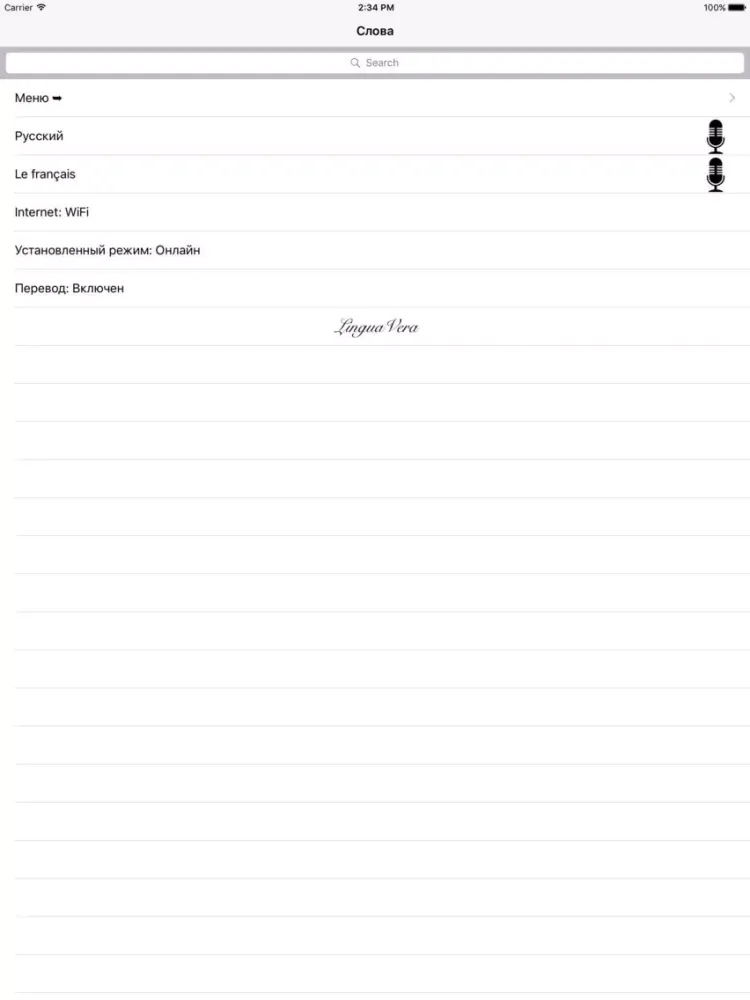 Русско-французский словарь LV iPad 应用截图