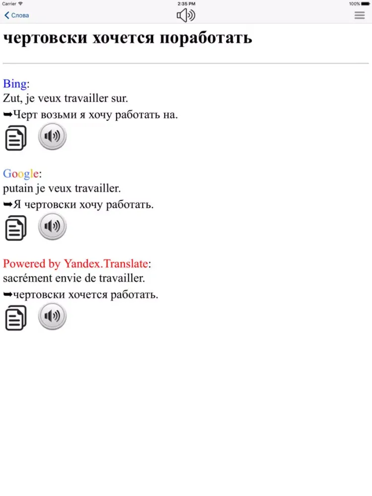 Русско-французский словарь LV iPad 应用截图