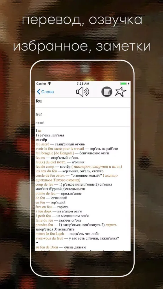 Русско-французский словарь LV应用截图