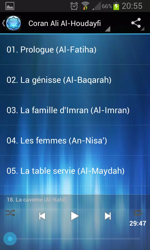 Quran Ali Al-Houdayfi Screenshots