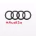Audi endurance experience