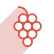 Dans ma vigne - Entreprise Dans ma vigne - Entreprise