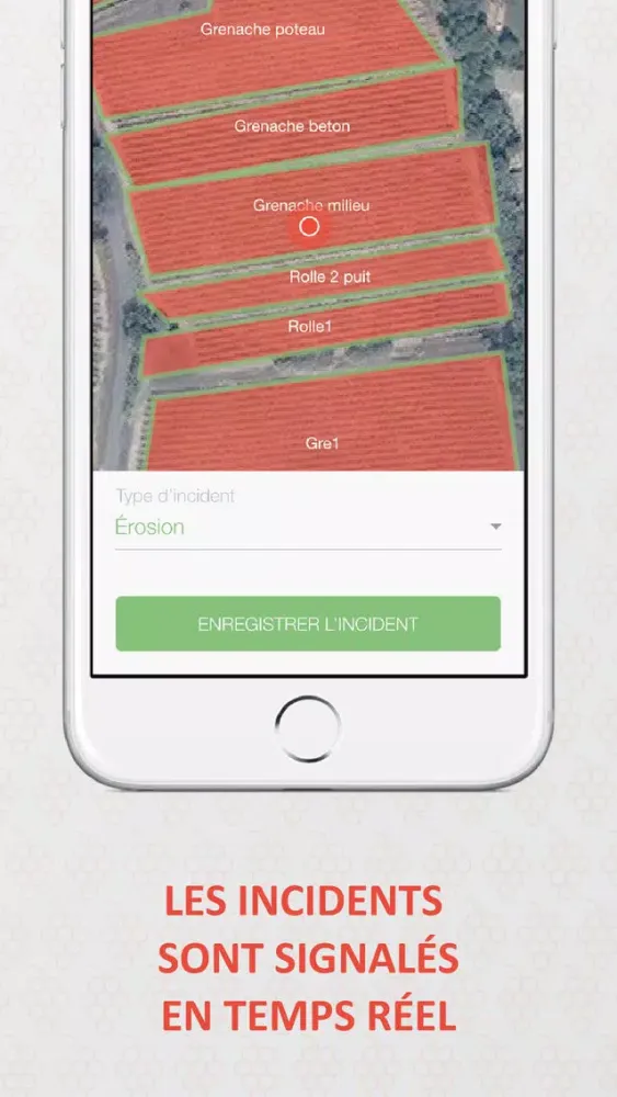 Скриншоты Dans ma vigne - Entreprise