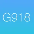 Golf Scorecard 918