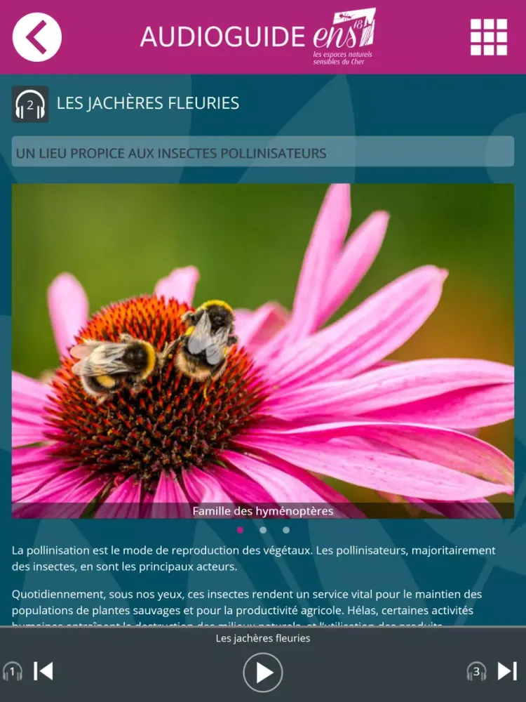 Captures d'écran de Territoire Places - AudioGuide iPad 