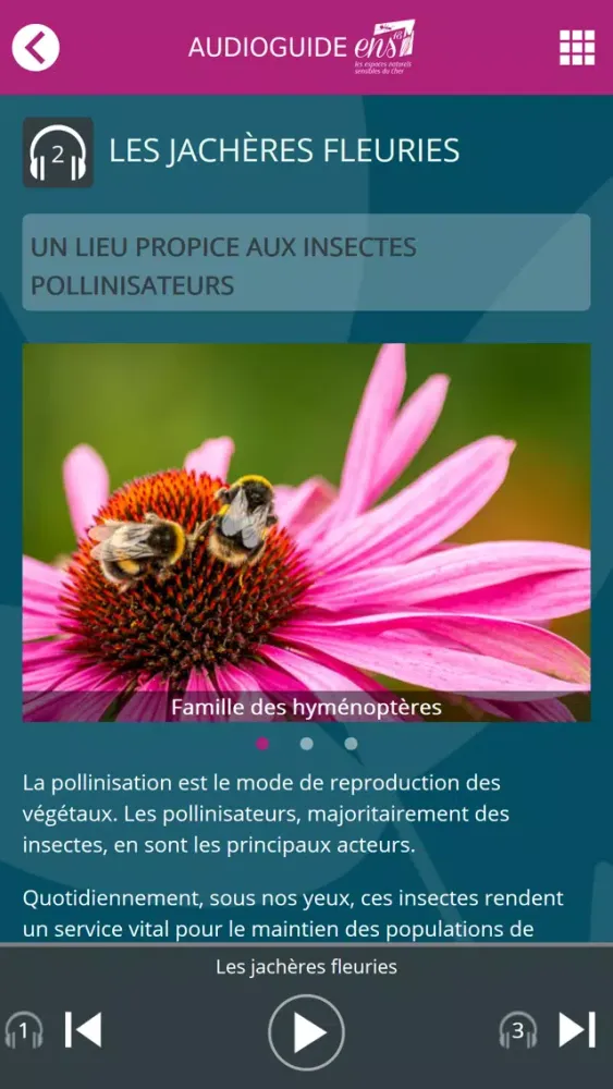 Captures d'écran de Territoire Places - AudioGuide
