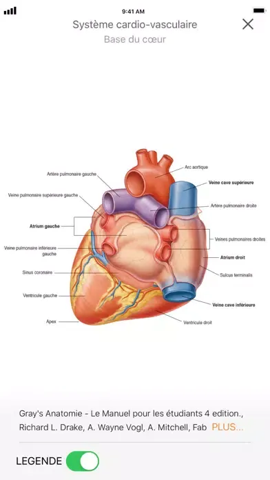 تصاویر SurviveMed
