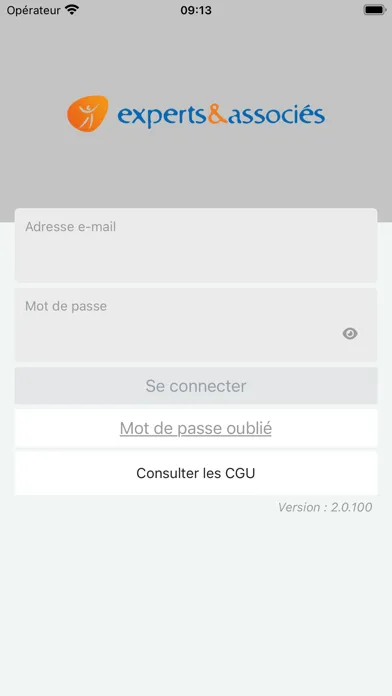 Capturas de pantalla de EXPERTS & ASSOCIES