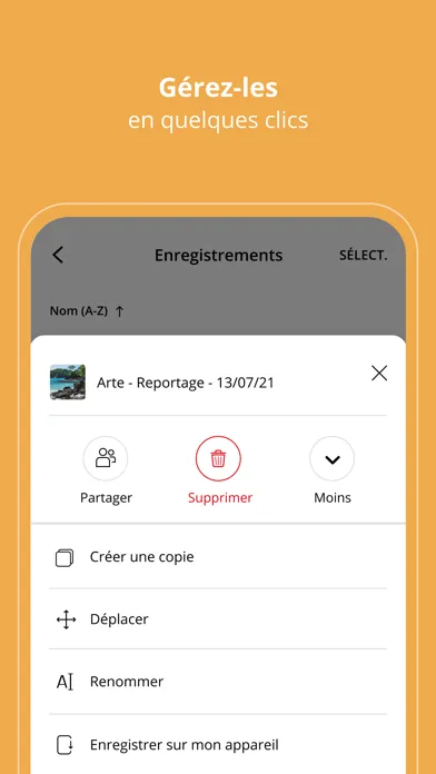 Freebox Files Screenshots