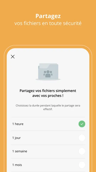 Freebox Files Screenshots