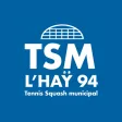 TSM L'Haÿ 94