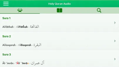 Quran Audio : Arabic, Bosnian Ekran Görüntüleri