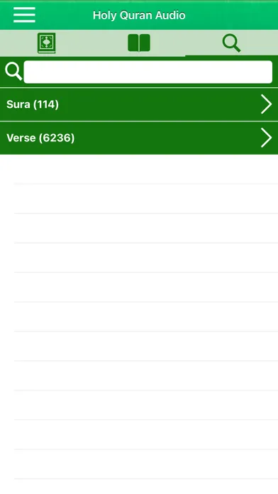 Quran Audio mp3 : Arabic, Urdu应用截图