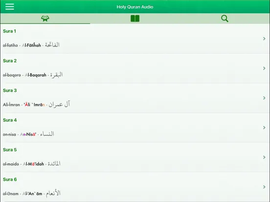 Quran Audio Pro: Azerbaijani iPad  Ekran Görüntüleri
