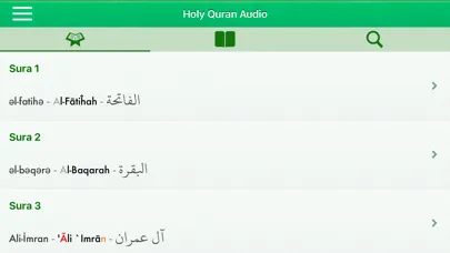 Quran Audio Pro: Azerbaijani Ekran Görüntüleri