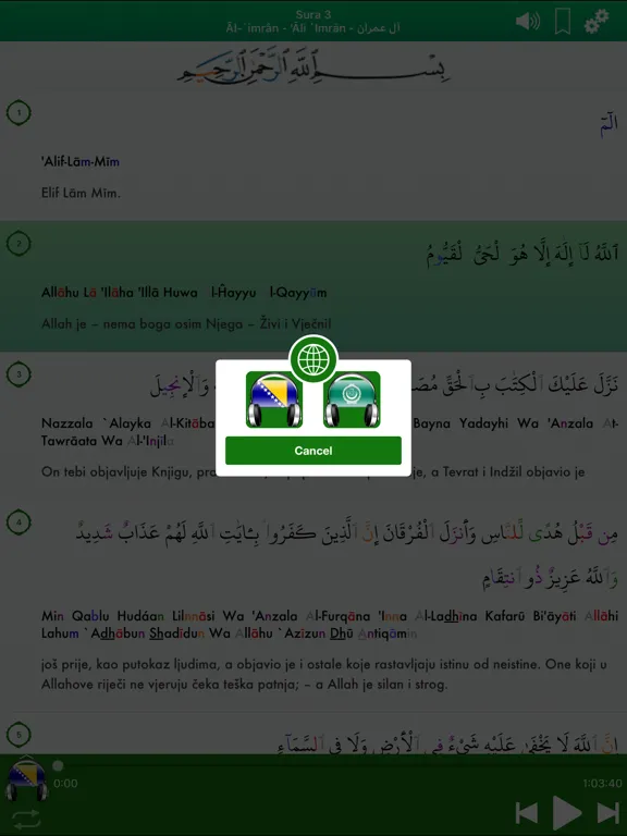 Quran Audio mp3 Pro: Bosnian iPad 应用截图