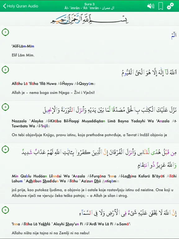 Quran Audio mp3 Pro: Bosnian iPad 应用截图