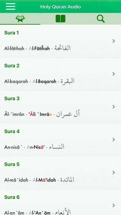 Quran Audio mp3 Pro: Bosnian应用截图