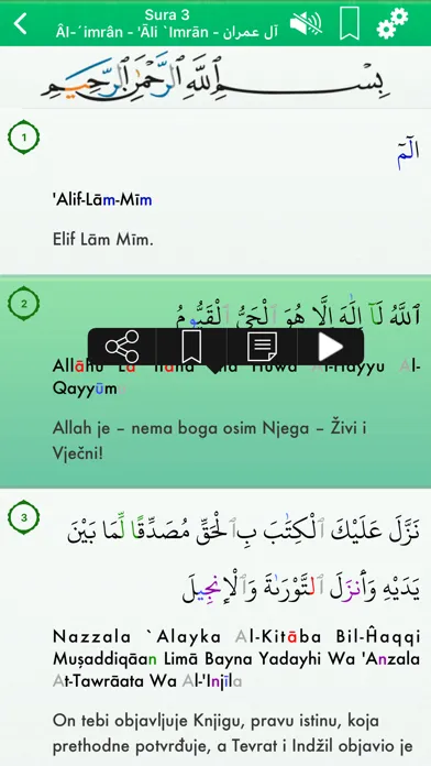 Quran Audio mp3 Pro: Bosnian应用截图