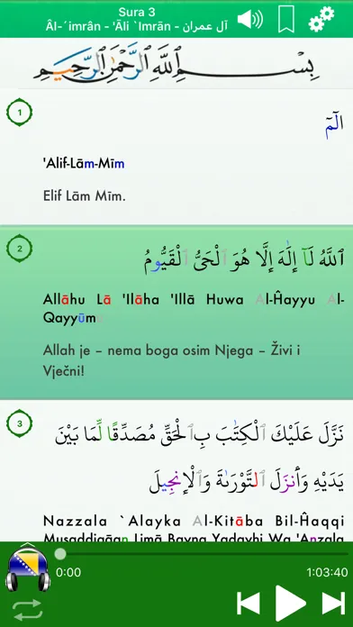 Quran Audio mp3 Pro: Bosnian应用截图