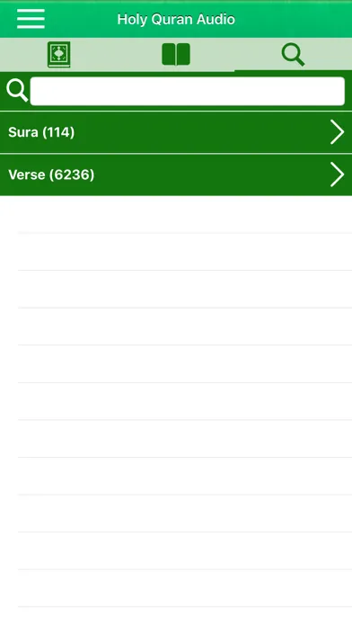 Al Quran Audio Pro in English Screenshots