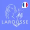 Dictionnaire Larousse français