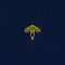 Flappy espace