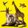 Imagier animaux Imagier animaux