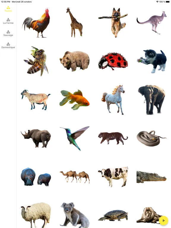Imagier animaux iPad  Screenshots