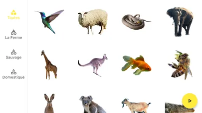 Imagier animaux Screenshots