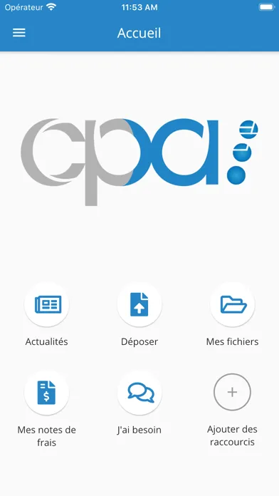Capturas de pantalla de Audit CPA
